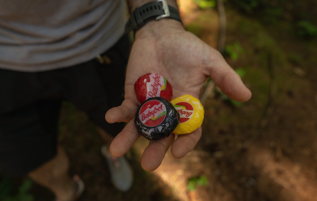 A man holds three distinct types of cheese, showcasing a variety of flavors and colors in his hands.