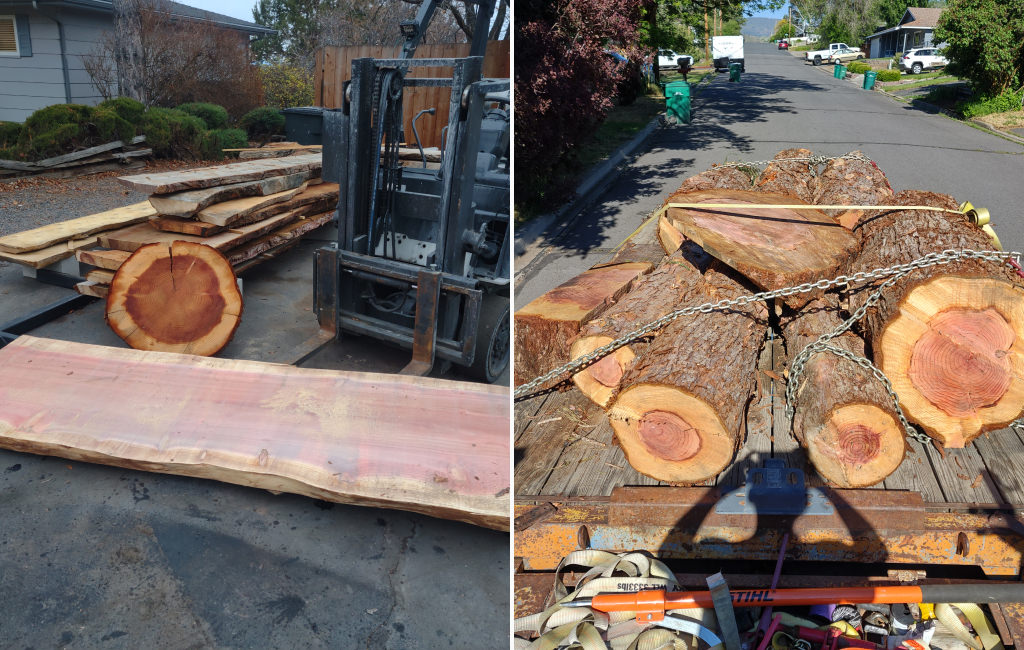 Large pieces of wood on the side of the road