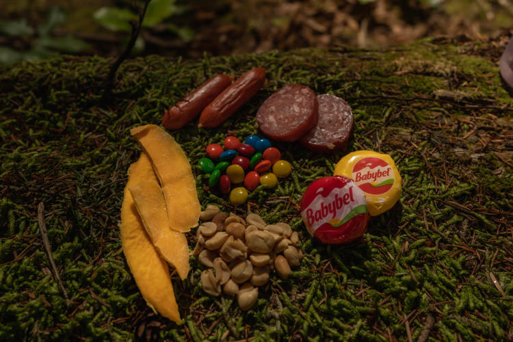 A colorful assortment of snacks and various items scattered on the ground, creating a vibrant and playful scene.