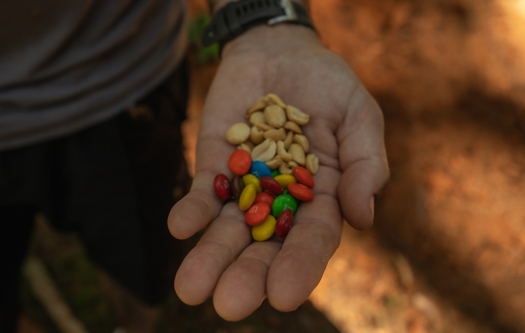 A hand filled with a vibrant assortment of nuts and candy, perfect for a tasty treat or a fun snack moment.